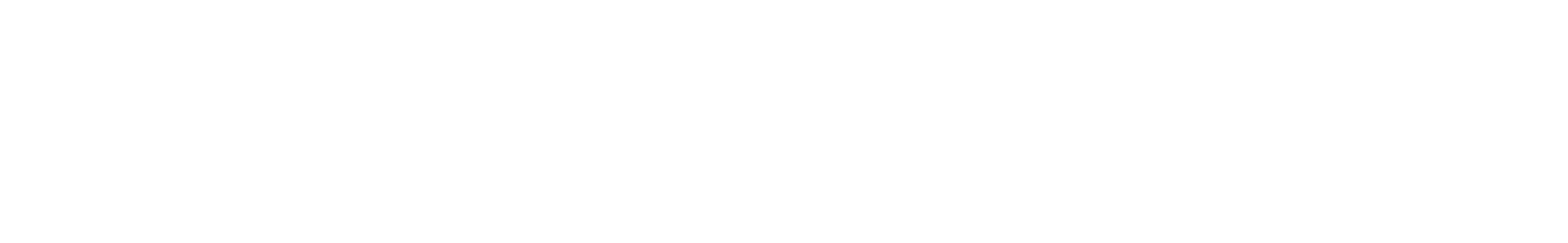 ConnectWise logo, horizontal white